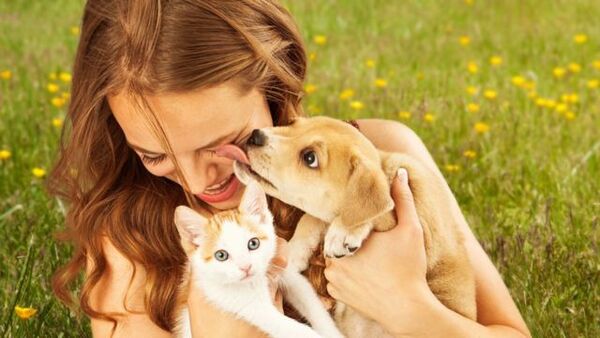 Comment notre stress et nos angoisses affectent les chiens et les chats selon des études