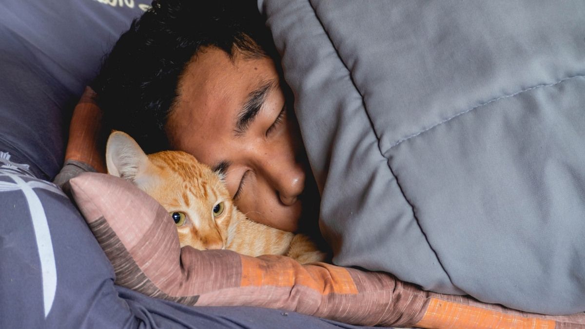 Devriez-vous laisser votre chat dormir dans votre lit