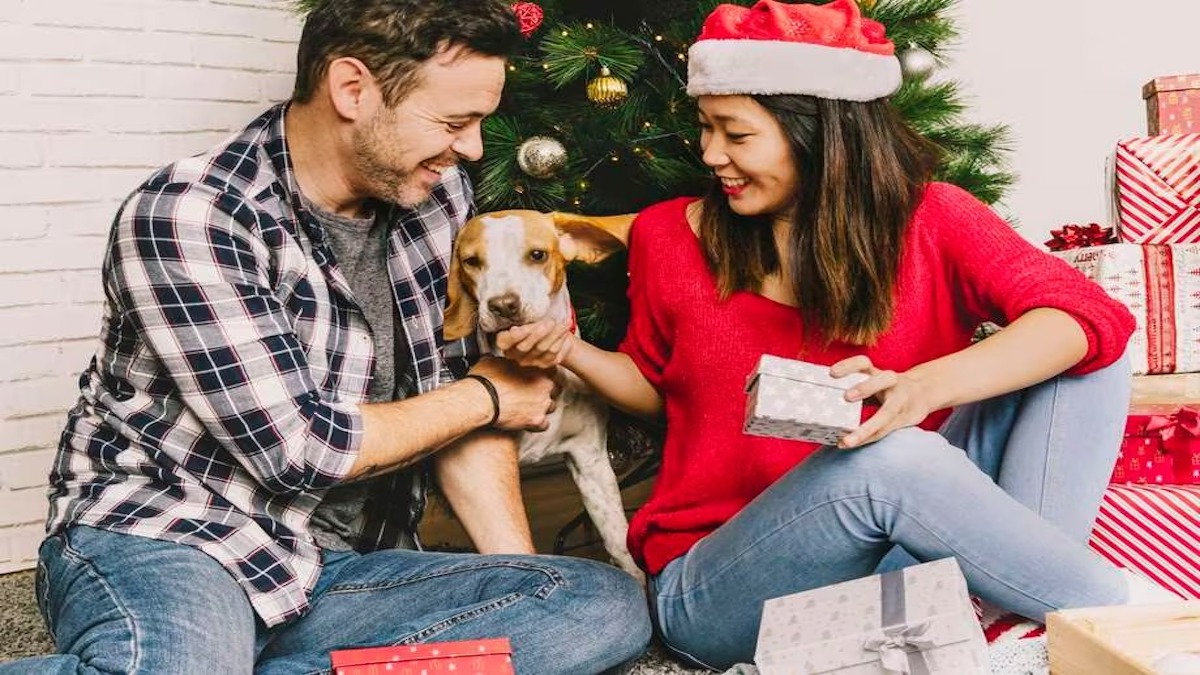 Idées de cadeaux de Noël pour les personnes qui ont un chat ou un chien