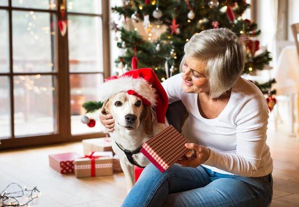 Idées de cadeaux de Noël pour les personnes qui ont un chat ou un chien