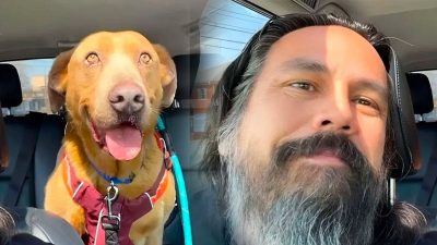 Il n’a jamais cessé de chercher son chien disparu, l’incroyable se produit 4 ans plus tard