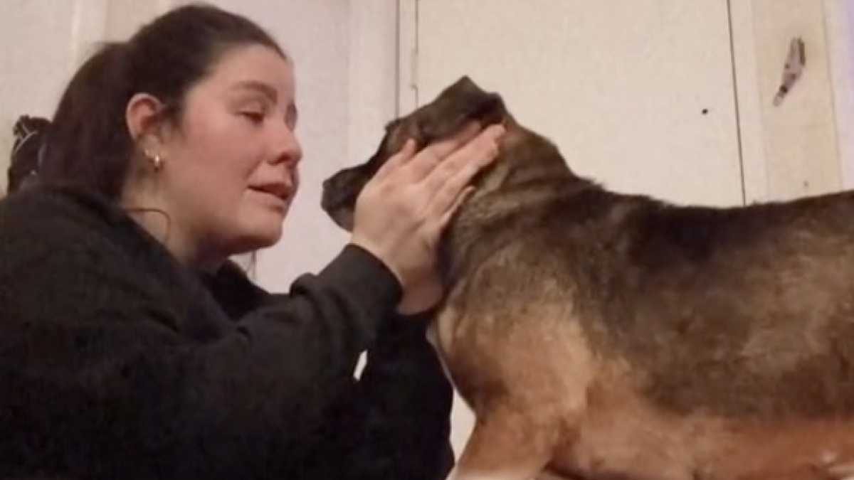 La réaction touchante d'une chienne lorsqu'elle apprend que sa famille d'accueil l'adopte pour toujours