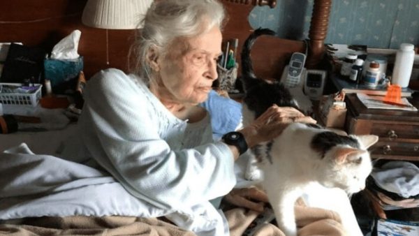 Le plus vieux chat du refuge a trouvé un foyer, il a été adopté par une femme de 101 ans