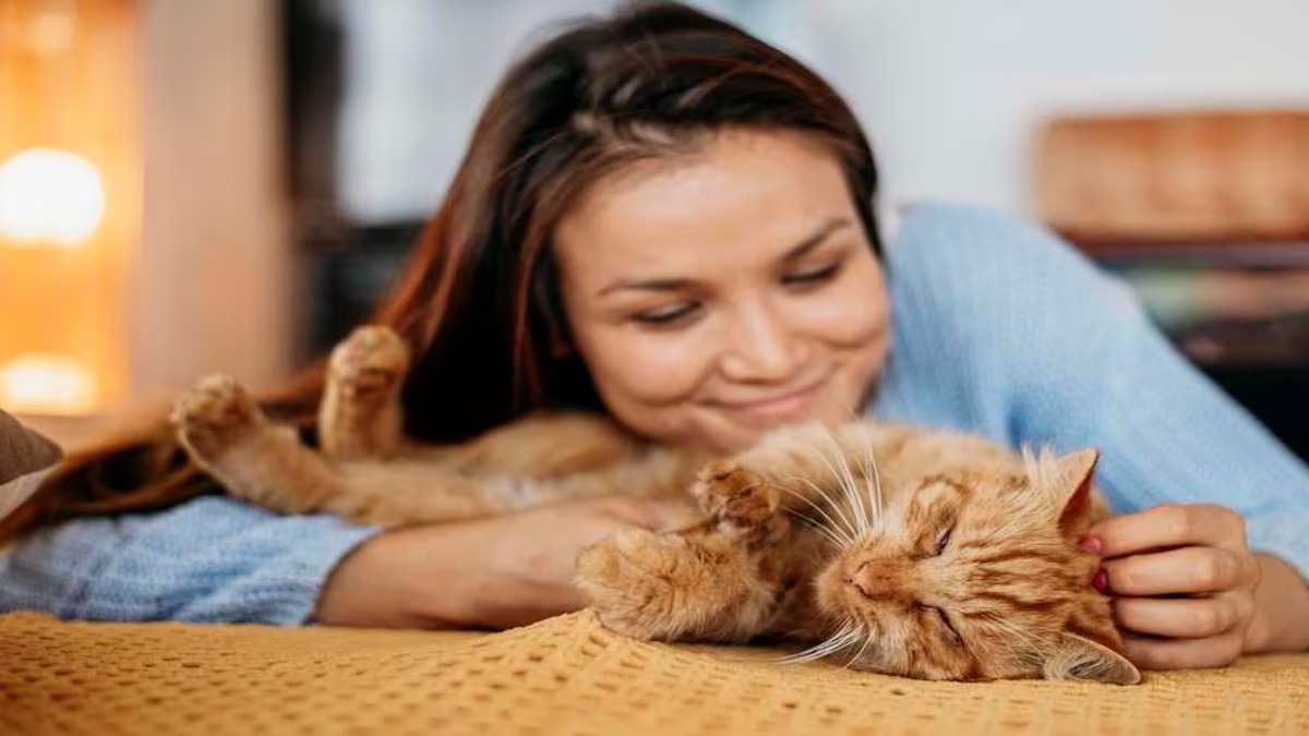 Que se passe-t-il si vous laissez temporairement votre chat dans une autre maison ?