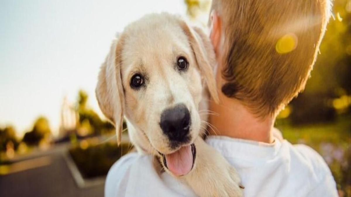 Sept façons de dire à votre chien que vous l'aimez