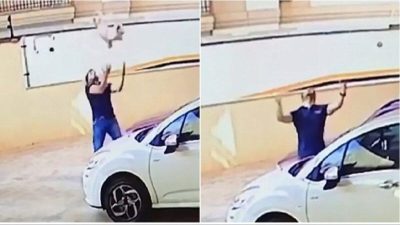 Un chien tombe du balcon au 9e étage, un voisin le rattrape juste à temps, un héros