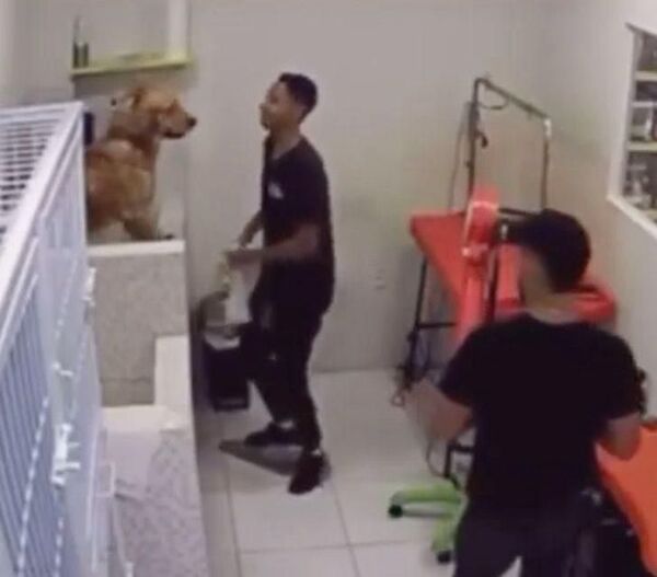 Un employé d'un salon de toilettage pour chiens est filmé, les propriétaires sont sidérés