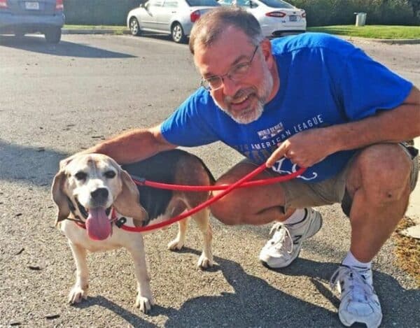 Un homme ouvre une maison de retraite pour abriter les chiens âgés sans abri