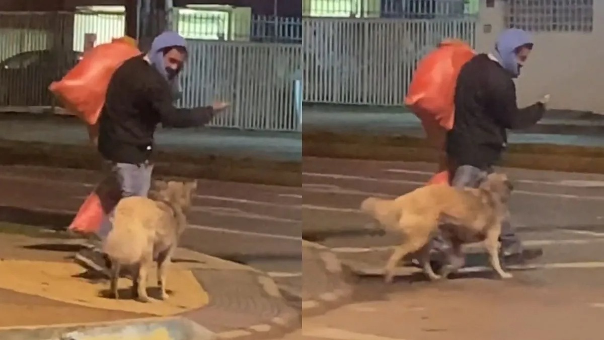 Un sans-abri apprend à son chien à traverser la route, pour le protéger des accidents