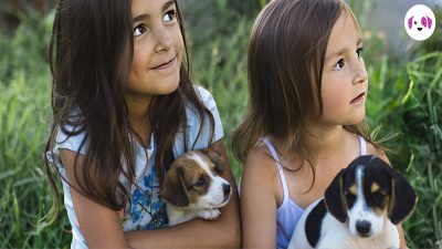 10 avantages pour les enfants de posséder un animal de compagnie