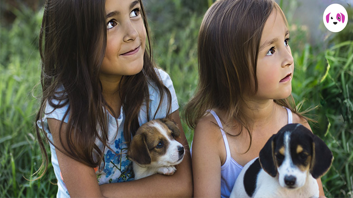 10 avantages pour les enfants de posséder un animal de compagnie