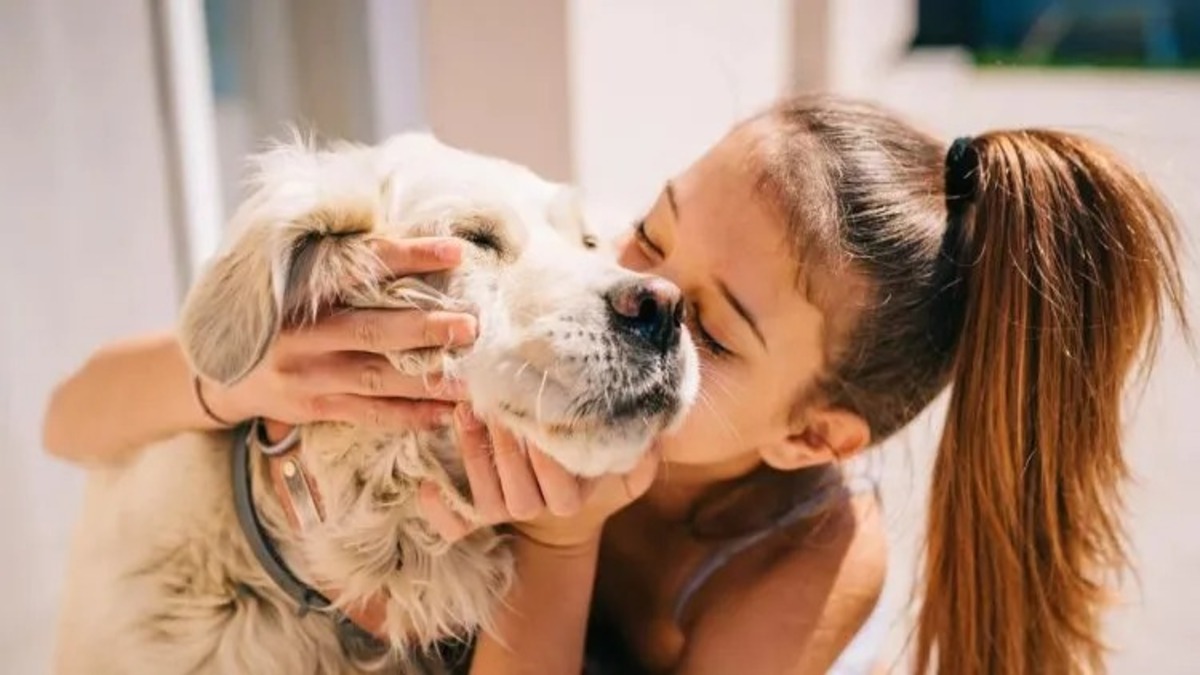 6 façons dont les chiens nous montrent leur affection