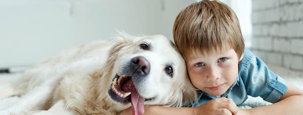 7 meilleures races de chiens pour les enfants 