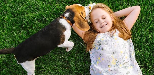 7 meilleures races de chiens pour les enfants