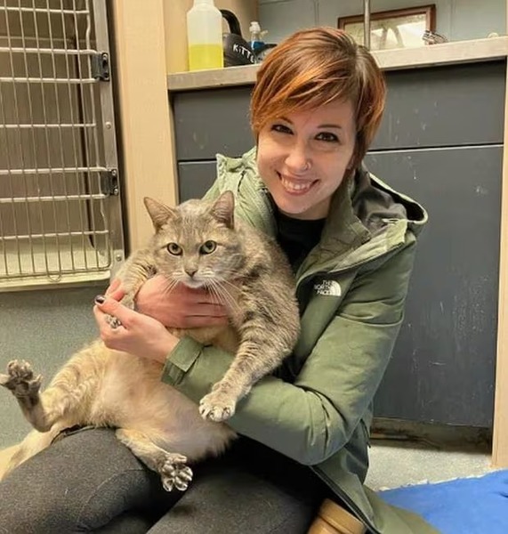 Ce chat obèse sauvé a été adopté après être devenu viral !