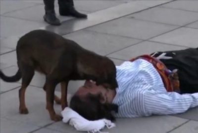 Cet acteur fait semblant d’être évanoui dans la rue, un chien errant accourt pour le sauver