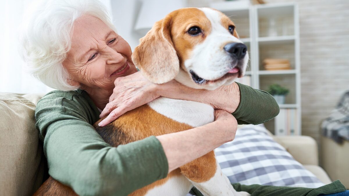 Découvrez les bienfaits des chiens pour les personnes âgées