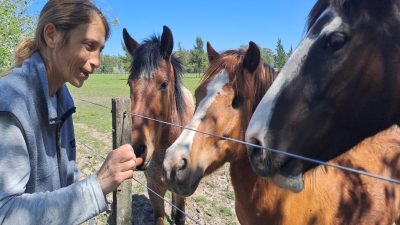 La dame aux chevaux : cette employée de justice a créé un sanctuaire et a sauvé 26 animaux maltraités
