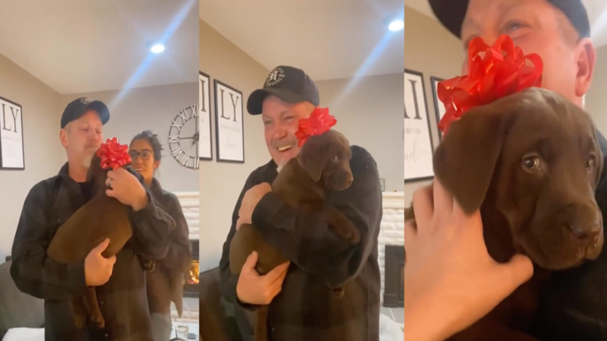 La réaction émouvante d'un père qui reçoit le chien labrador dont il a toujours rêvé