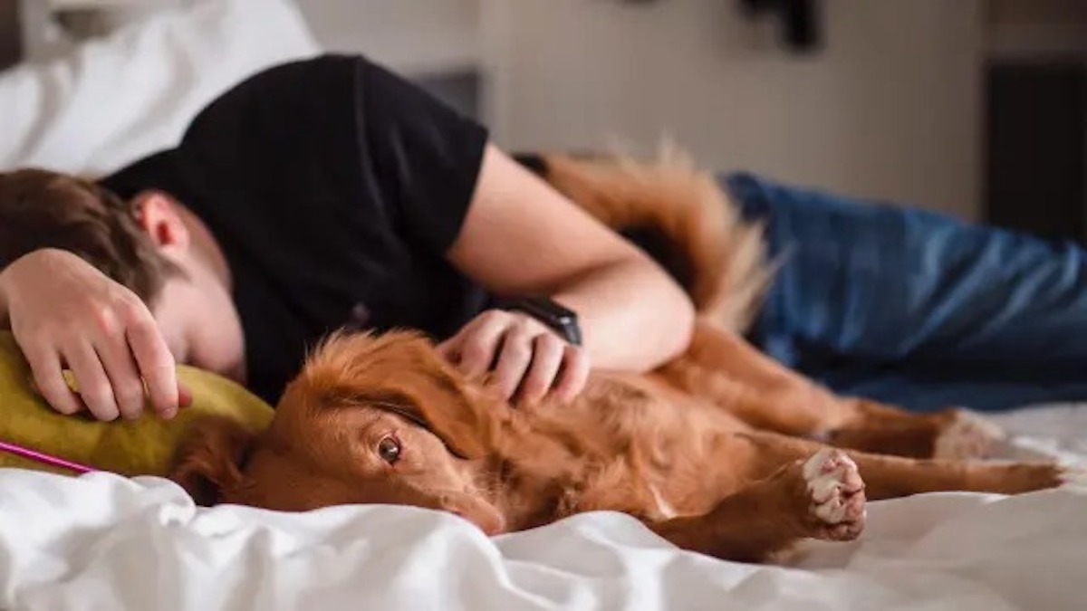 Les signes qui révèlent que vous transmettez votre tristesse à votre animal de compagnie