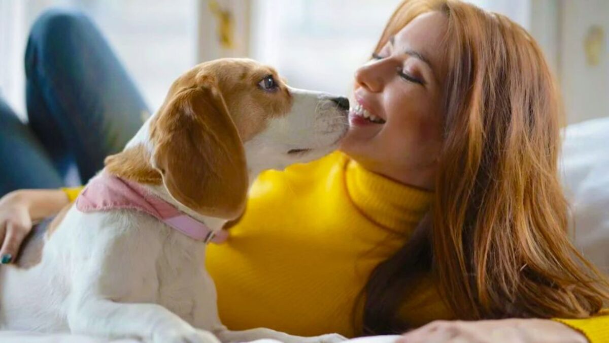 Pourquoi les chiens aiment-ils une personne plus qu'une autre