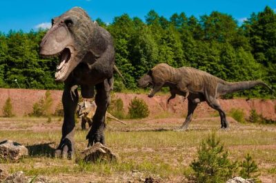Tout savoir sur les 6 dinosaures les plus célèbres de l’histoire