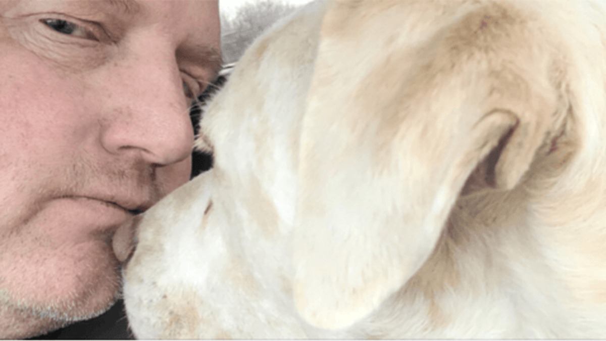 Un chien aveugle et sourd reste 200 jours dans un refuge, sa vie va basculer