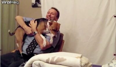Un chien adopté étouffe son nouveau maître de baisers après avoir évité l'euthanasie