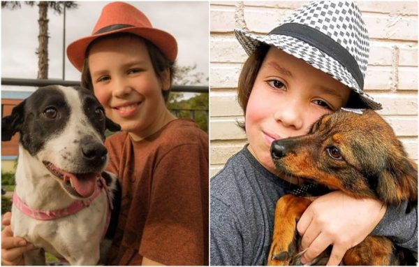 Un garçon de 11 ans donne un bain à des chiens errants pour leur trouver un nouveau foyer