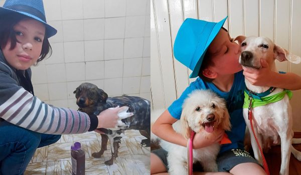 Un garçon de 11 ans donne un bain à des chiens errants pour leur trouver un nouveau foyer