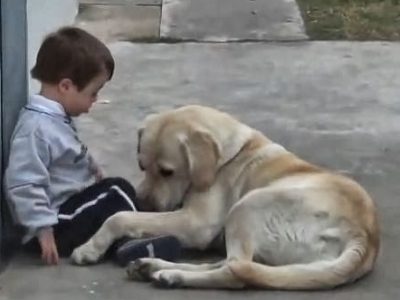Un garçon de 3 ans trisomique n’a pas un seul ami, ce chien va changer sa vie à tout jamais
