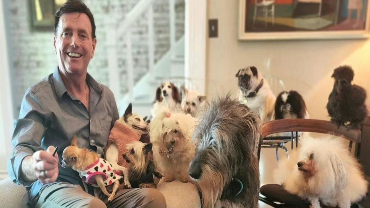 Un homme consacre sa vie à l'adoption définitive de chiens âgés sans abri !