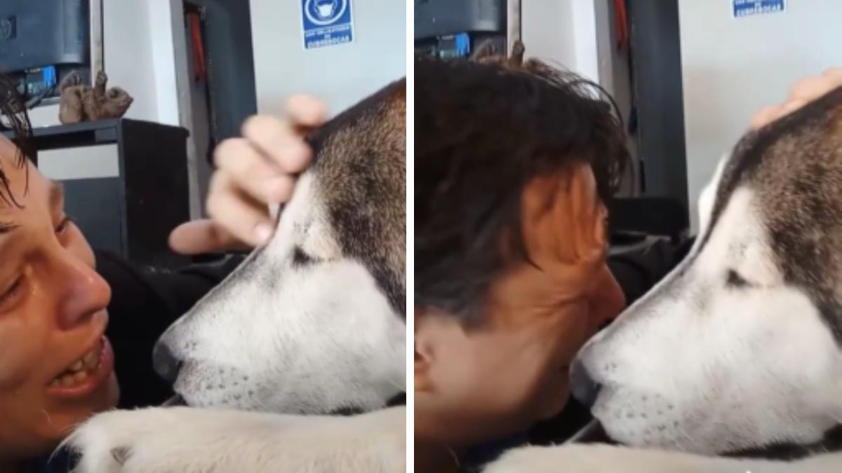 Un homme dit au revoir à son chien malade et éclate en sanglots « Je t’aime »