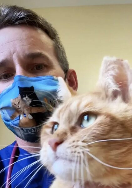 Un vétérinaire sauve un chat qui devait être euthanasié