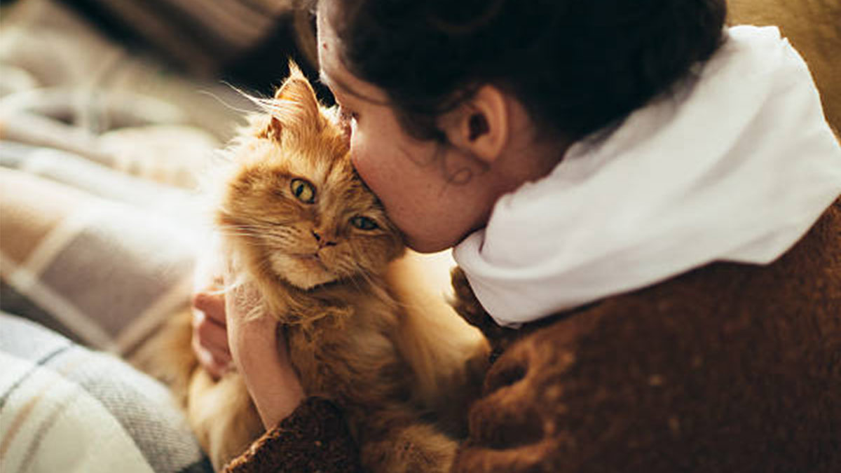 Voici comment vous devriez caresser un chat pour le rendre heureux selon la science