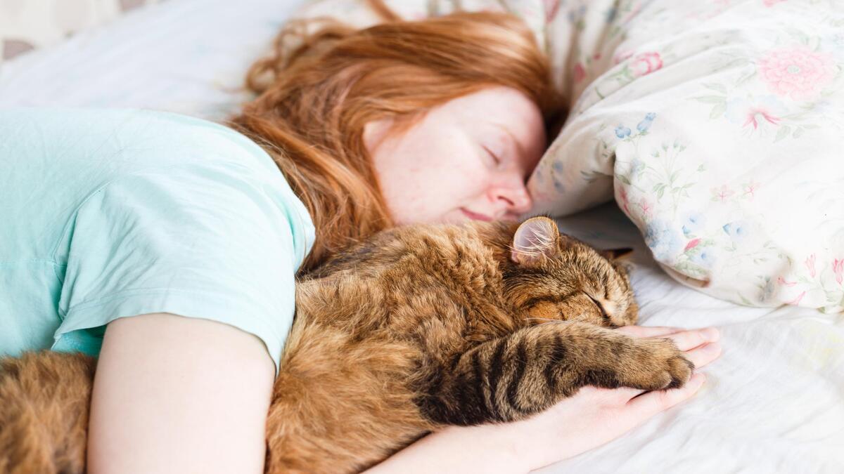 Voici pourquoi votre chat vous rejoint la nuit dans votre lit !