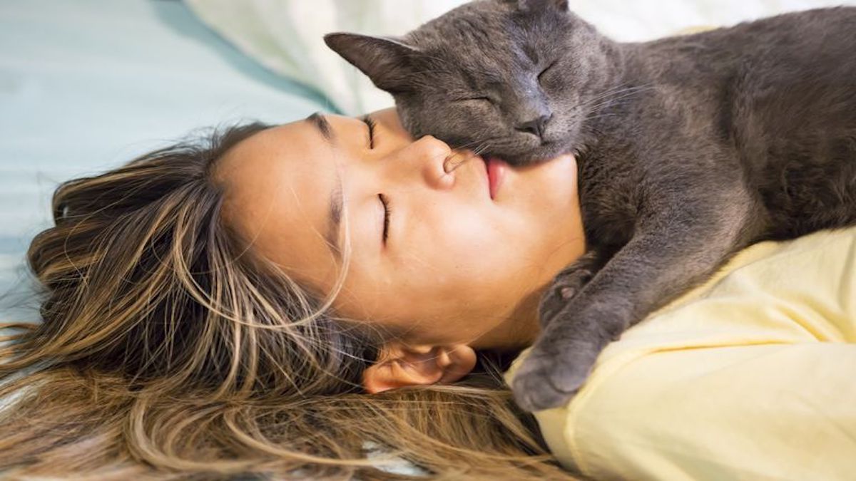 5 raisons pour lesquelles il est bon de dormir avec un chat
