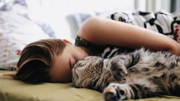 5 raisons pour lesquelles il est bon de dormir avec un chat