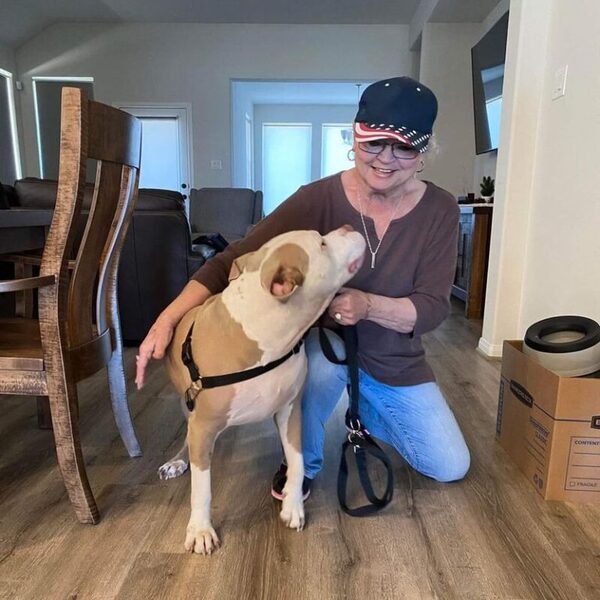 Après avoir passé un an dans un refuge, un chien Pitbull sauvé est enfin adopté !