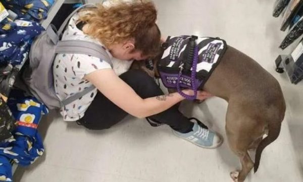 Ce chien sent que sa maîtresse va avoir un souci médical, il lui sauve la vie !