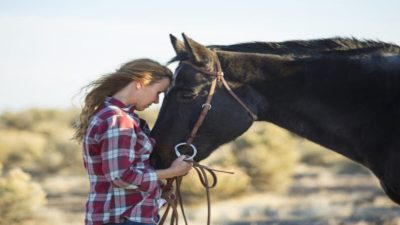 Ce cheval retrouve son propriétaire 4 ans plus tard, leurs retrouvailles sont déchirantes