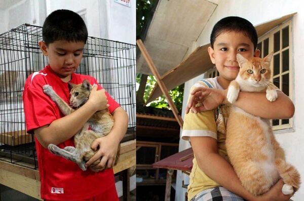 Cet enfant change radicalement la vie des animaux, les transformations sont incroyables