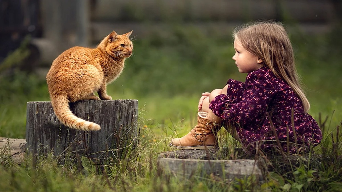 5 raisons pour lesquelles les chats se rapprochent de certaines personnes et pas d'autres
