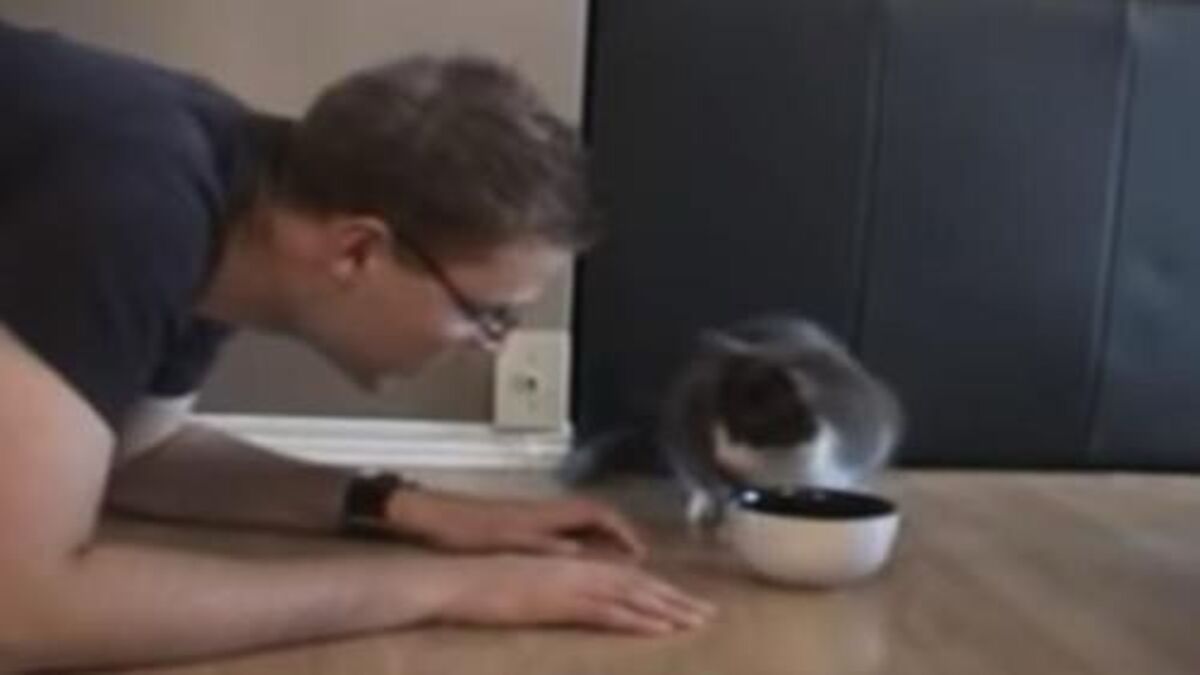 Il fait semblant de manger la nourriture de son chat, sa réaction est hilarante