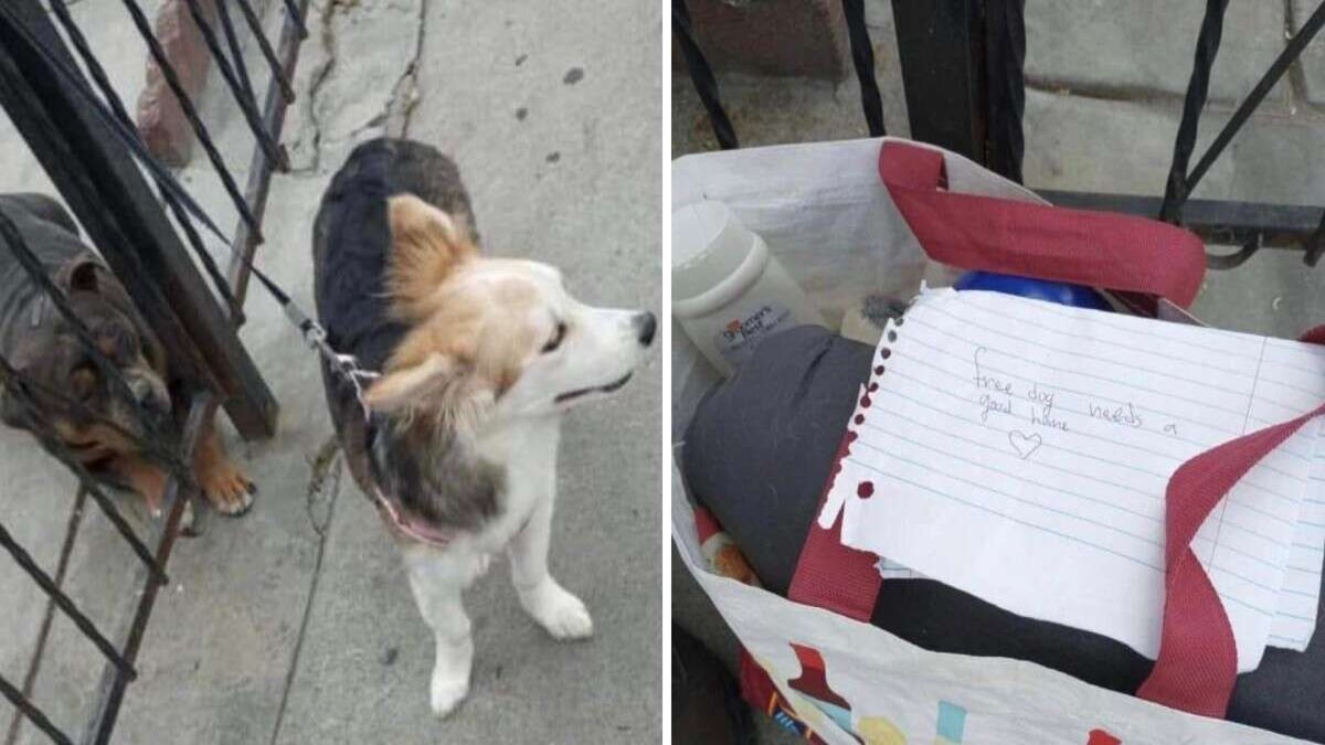 Il rentre chez lui et découvre un chien attaché à sa clôture avec une note déchirante