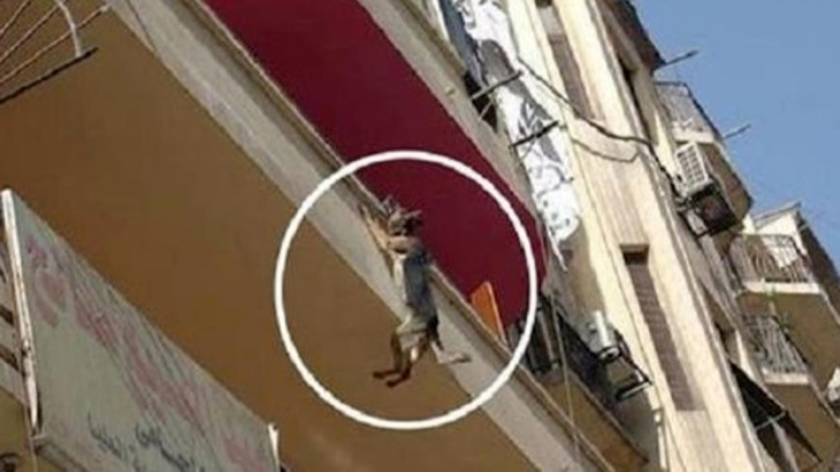 Ils lèvent les yeux et découvrent un chien pendu au balcon par son collier, une scène effroyable