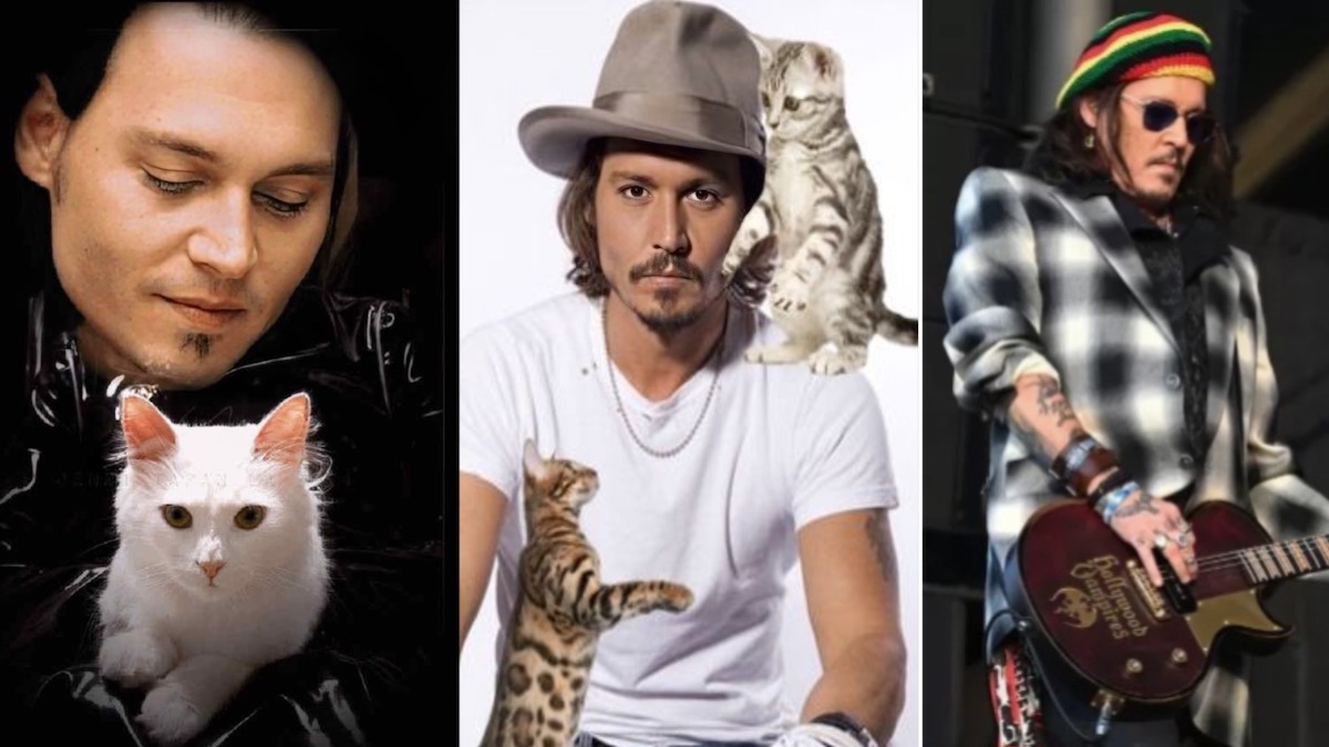 Johnny Depp et Rod Stewart ont récolté beaucoup d'argent pour les chats abandonnés