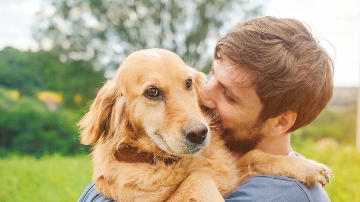 Le lien spécial qui vous unit à votre chien : 3 raisons pour lesquelles il s'attache à vous
