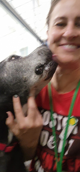 Un chien de 15 ans trouve enfin le bonheur après des années dans un refuge, un moment émouvant