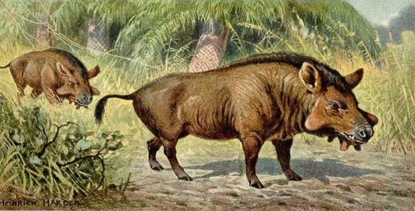 Les "porcs de l'enfer", des mammifères terrifiants qui ont vécu après la disparition des dinosaures